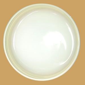 Salicylic Acid Ointmenr水杨酸凡士林软膏10%:100g