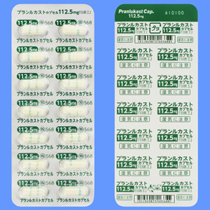 Pranlukast普仑司特水合物胶囊112.5mg「日医工」:28粒(14粒×2)PTP